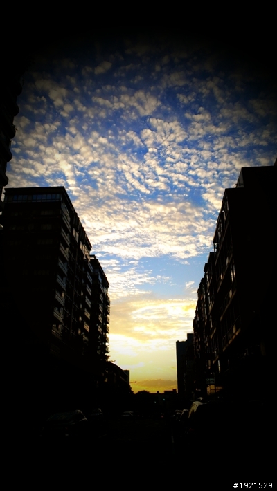 Oops! htcj美腿拍兔