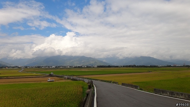 20121116伯朗大道+天堂路 原來池上這麼美