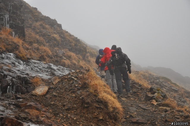 20121118~20 雪山東峰主峰~在半夜三更的黑森林hold不住了之旅~