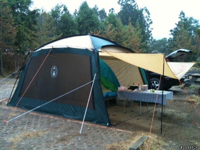 深秋露營地點請益(11/2更新為4天3夜'武陵+福壽山' 圖多)