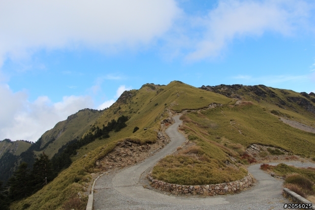 合歡山主峰/武嶺登山一日遊