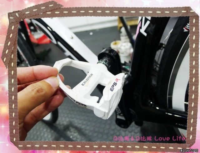 女用公路車～