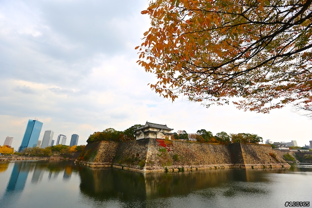 分享：關西～奈良，京都，大阪賞楓自由行（圖多）