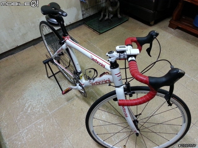 第一台公路車 Dedacciai 開箱照