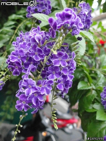 【把玩】Samsung EX2F 好看好翻又好傳