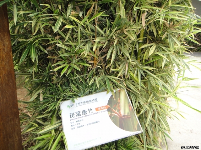 瘋台東 單車背包客的15 Days