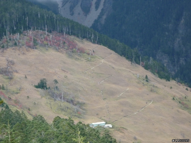 20121118~20 雪山東峰主峰~在半夜三更的黑森林hold不住了之旅~