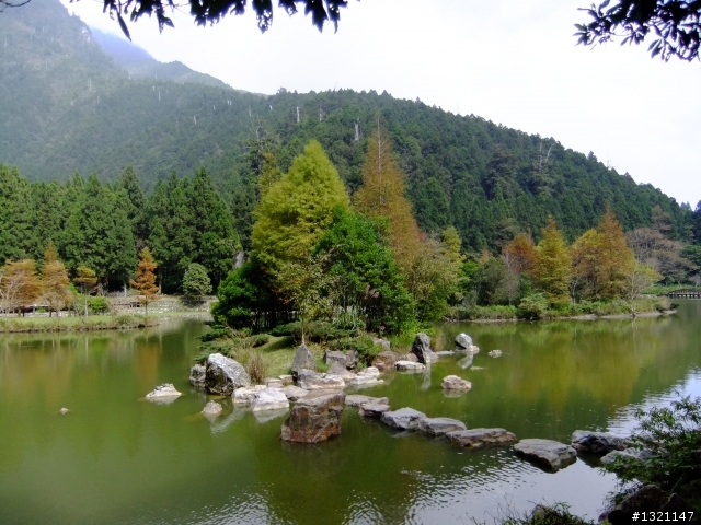 2012明池楓情