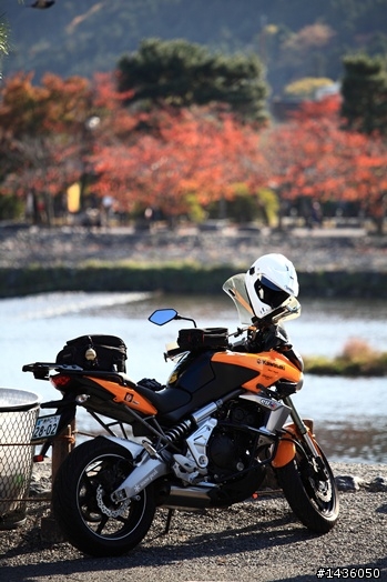 京阪神奈旅拍分享