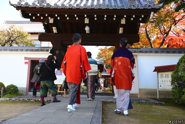 分享：關西～奈良，京都，大阪賞楓自由行（圖多）