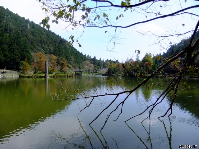 2012明池楓情