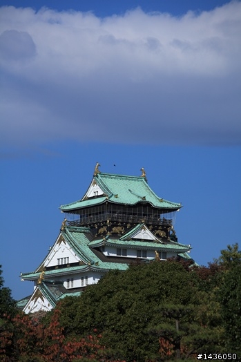 京阪神奈旅拍分享