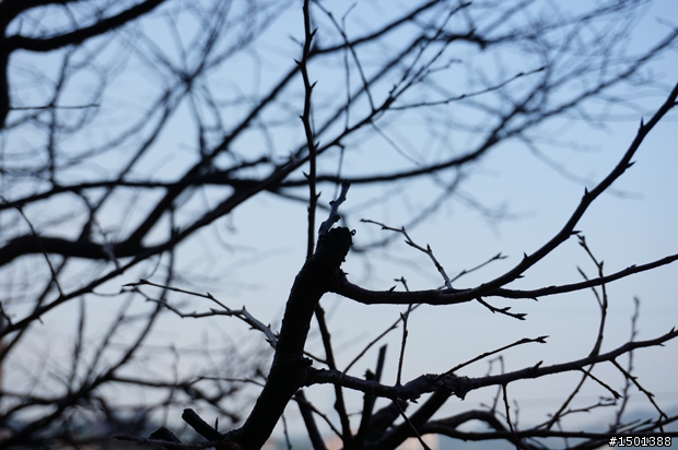 【開箱】來看國父怎麼拍！創造驚豔每一刻的Sony NEX-5R