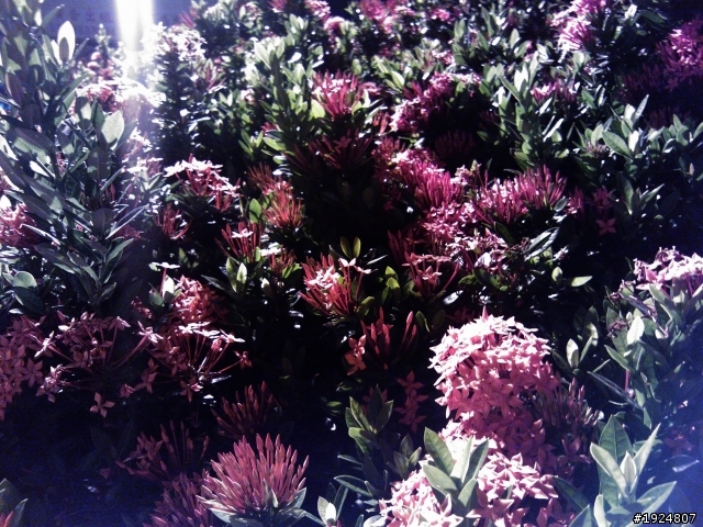 [LUMIA800] 帶著魯麵八百微光旅行