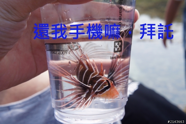 小琉球之旅 之快還老娘手機