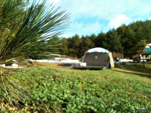 深秋露營地點請益(11/2更新為4天3夜'武陵+福壽山' 圖多)