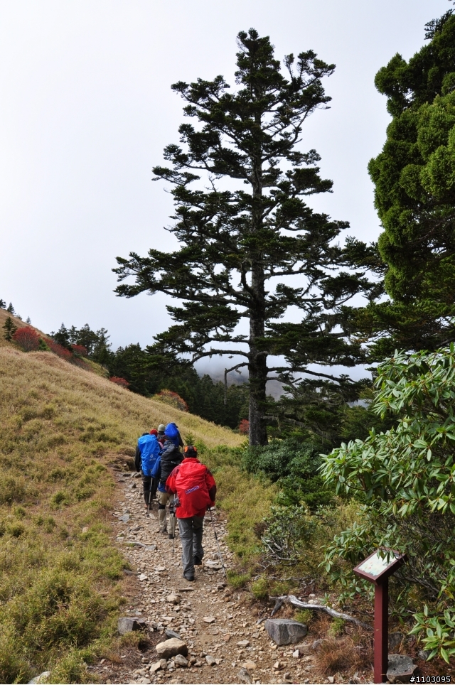 20121118~20 雪山東峰主峰~在半夜三更的黑森林hold不住了之旅~