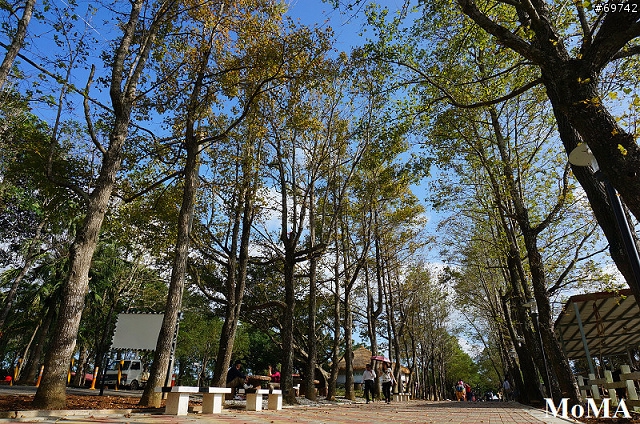 [MoMo桑分享] (12/5更新) SONY NEX-6：奶爸也能保有我的文青魂 !!