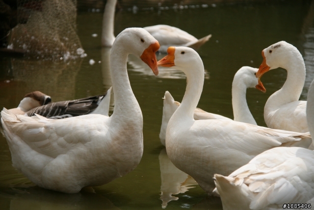 (9/18~9/28) 10天9夜四極點加地理中心環島 - DAY2