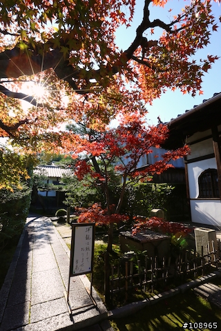 分享：關西～奈良，京都，大阪賞楓自由行（圖多）