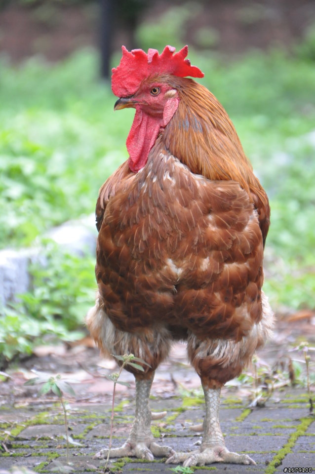 2012暑期半百夫妻、兩人、兩車、四輪--大環島記事簿(7/20~7/31)全文完；後記更新在八樓