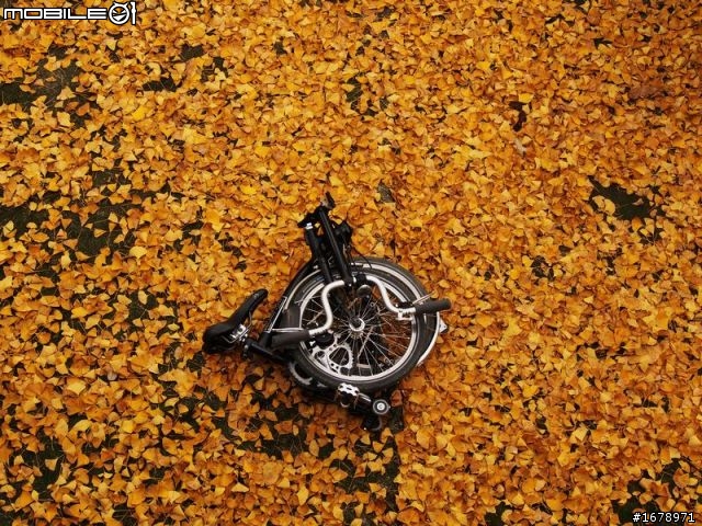 三輛小折騎行白岩寺，關鍵詞：小布，ORi，按摩師（ANEMOS）