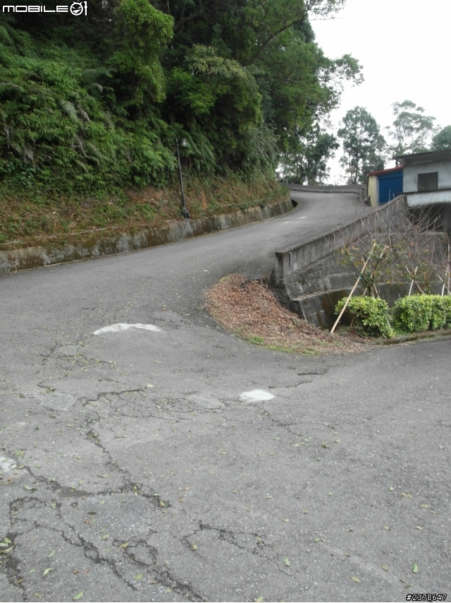 愛上公路車 深深著迷 分享騎車三個月照片^^