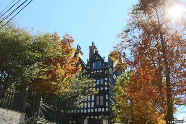 合歡山主峰/武嶺登山一日遊