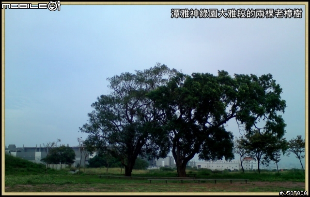 台中大肚山之綠園道.華山路嬉遊記