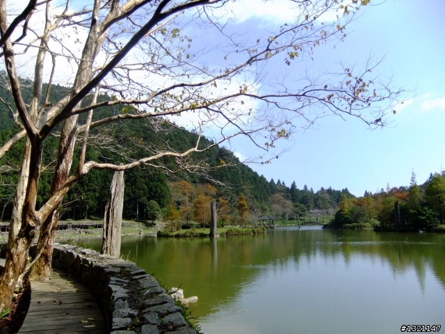 2012明池楓情