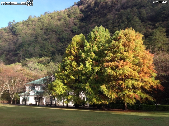 【中央山脈行】奧萬大.清境.福壽山.武陵.太魯閣.七星潭(2012.11.18~11.23)