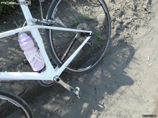 愛上公路車 深深著迷 分享騎車三個月照片^^