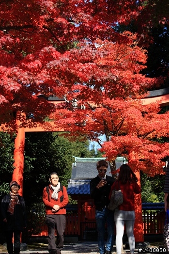 京阪神奈旅拍分享
