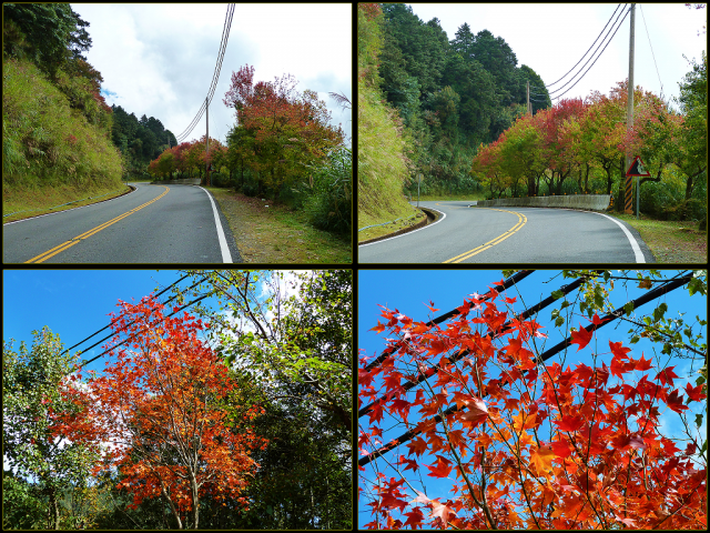 2012.11.11-12_機車露營_塔塔加野營生日趴！