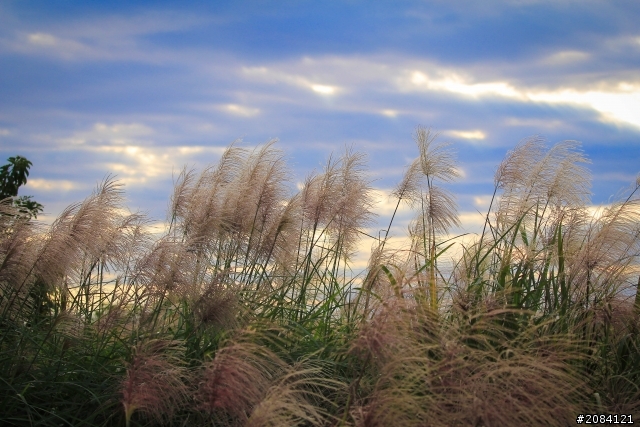 宜蘭龜山島&海景...............請大家多多指教！