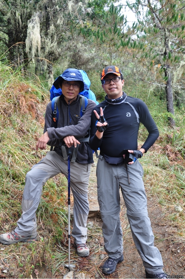 20121118~20 雪山東峰主峰~在半夜三更的黑森林hold不住了之旅~