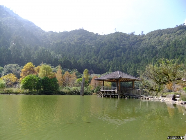 2012明池楓情