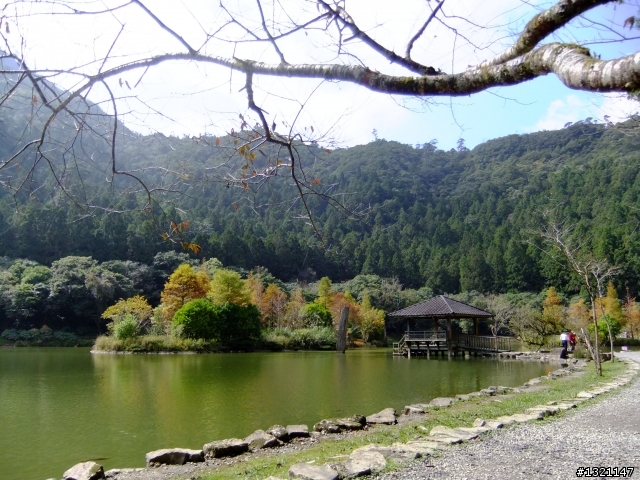 2012明池楓情