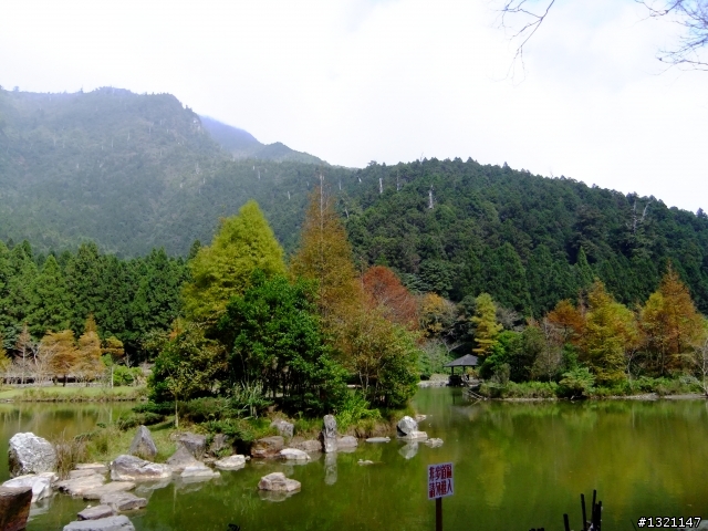 2012明池楓情