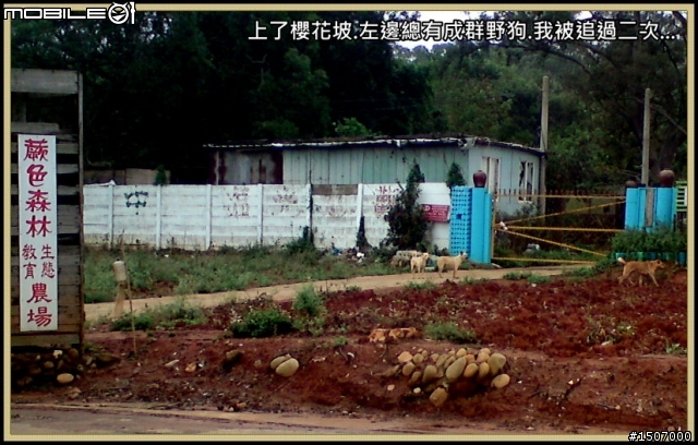台中大肚山之綠園道.華山路嬉遊記