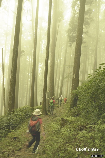 [分享] 國家步道‧大凍山
