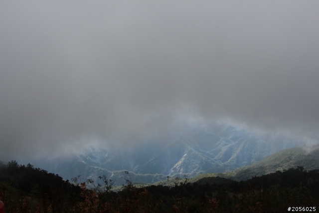 合歡山主峰/武嶺登山一日遊