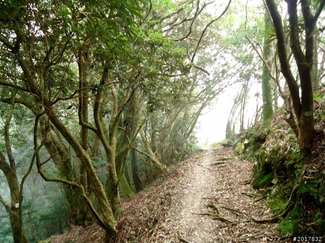 2012/10/28/29北大武山之行