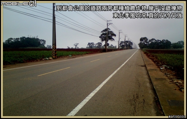 台中大肚山之綠園道.華山路嬉遊記