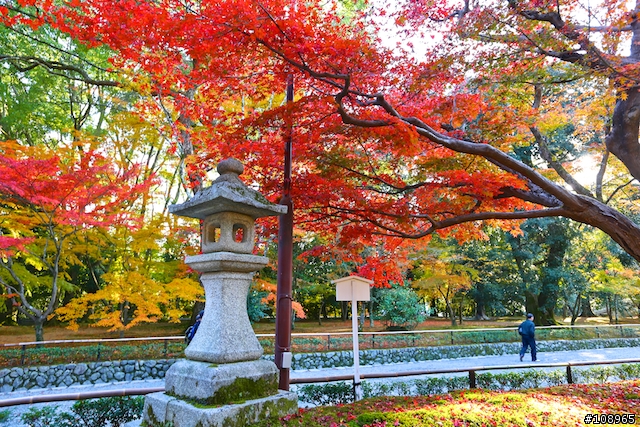 分享：關西～奈良，京都，大阪賞楓自由行（圖多）