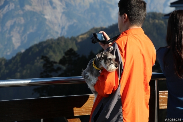 合歡山主峰/武嶺登山一日遊