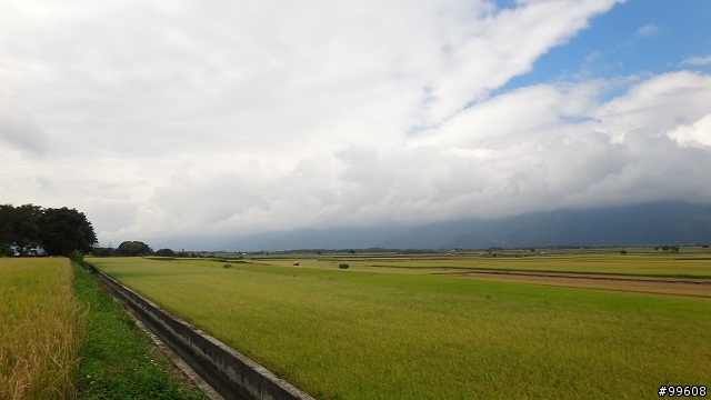 20121116伯朗大道+天堂路 原來池上這麼美