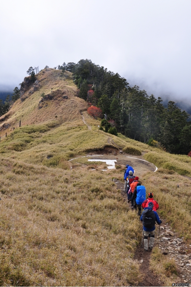 20121118~20 雪山東峰主峰~在半夜三更的黑森林hold不住了之旅~
