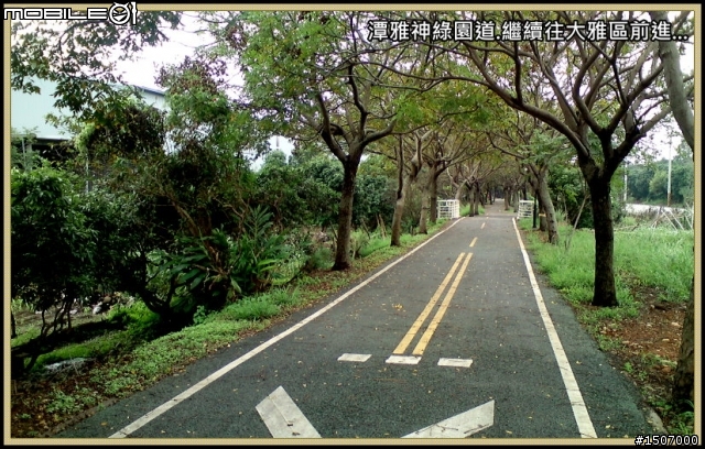 台中大肚山之綠園道.華山路嬉遊記