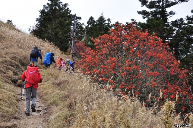 20121118~20 雪山東峰主峰~在半夜三更的黑森林hold不住了之旅~